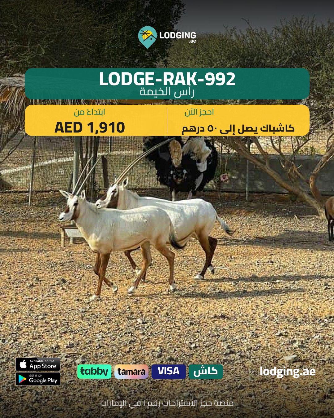 استراحات مع مسبح خاص في الإمارات — 10 خيارات فاخرة على Lodging.ae