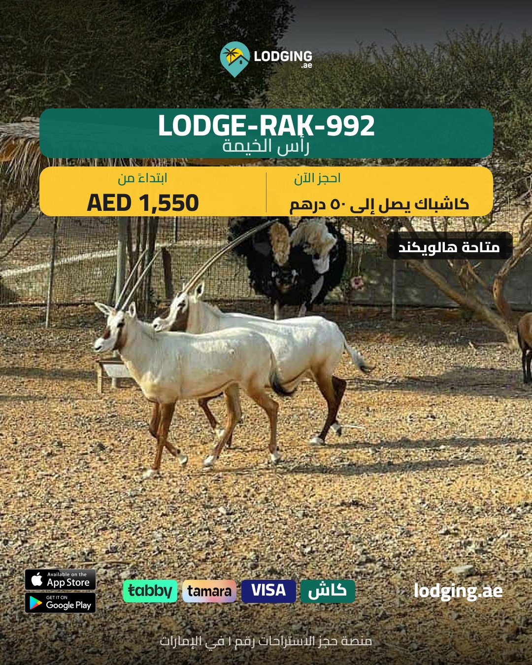 أفضل منصة حجز استراحات في الإمارات 2026 — دليل المقارنة الذي تحتاجه فعلاً