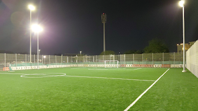 ملعب الاحتراف