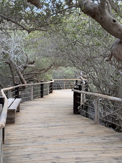 Mangrove Bridge site