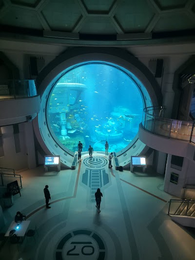 سي وورلد جزيرة ياس أبوظبي