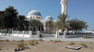 مسجد الشيخ خليفة بن زايد. 741
