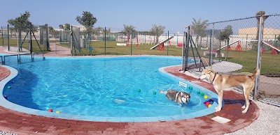 مركز رأس الخيمة لرعاية الحيوانات