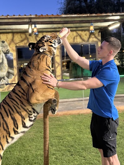Dubai private zoo - Wildland UAE