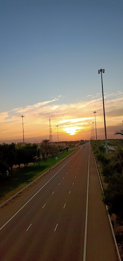 Barari Forest Management