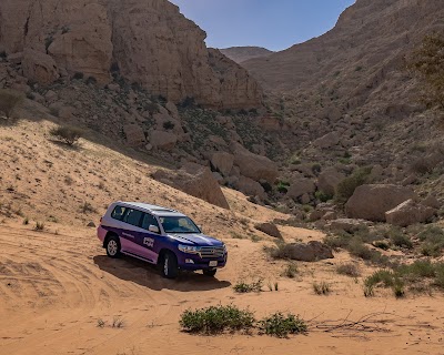 مركز مليحة للآثار