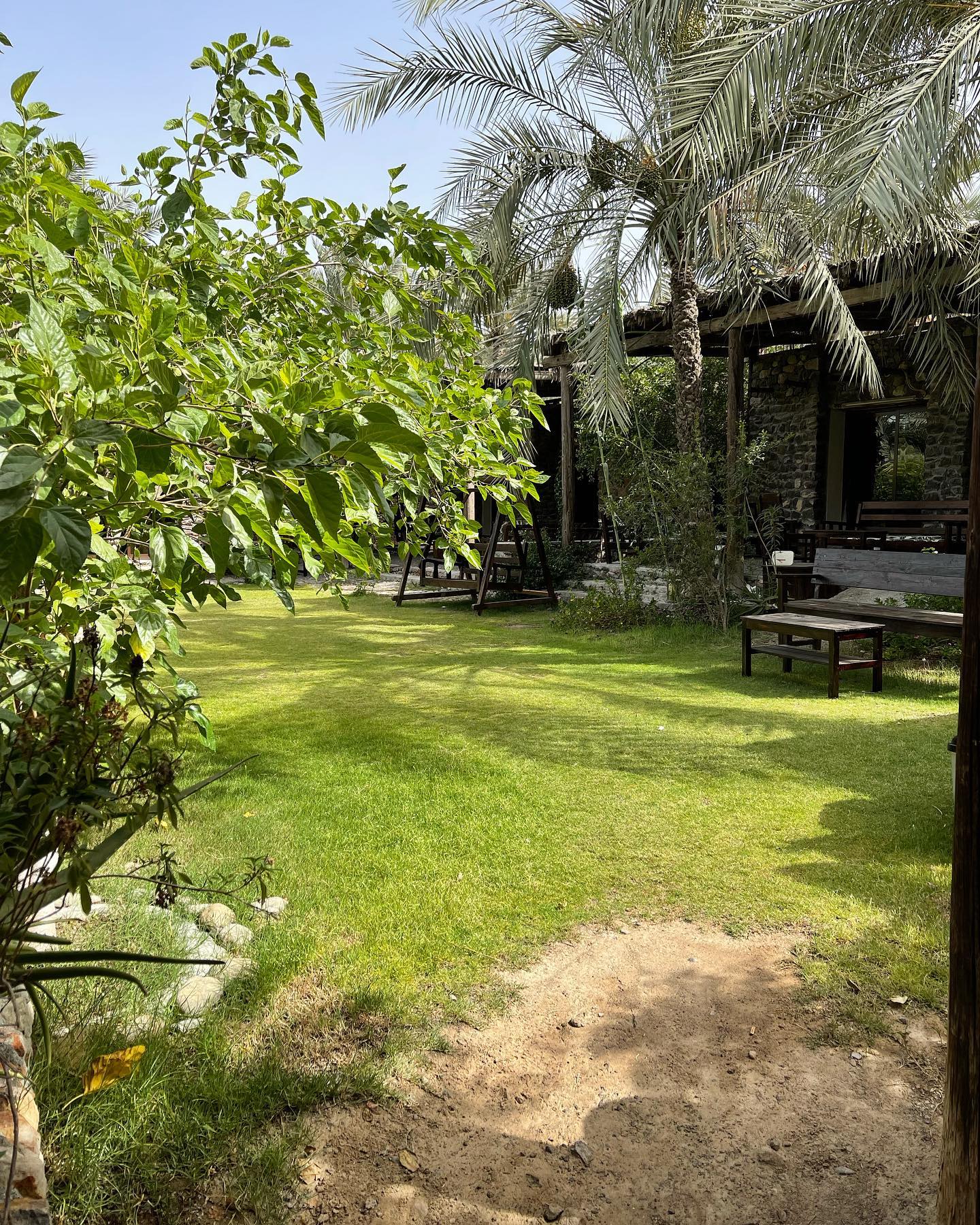 LODGE-FUJ-579 - Image 3