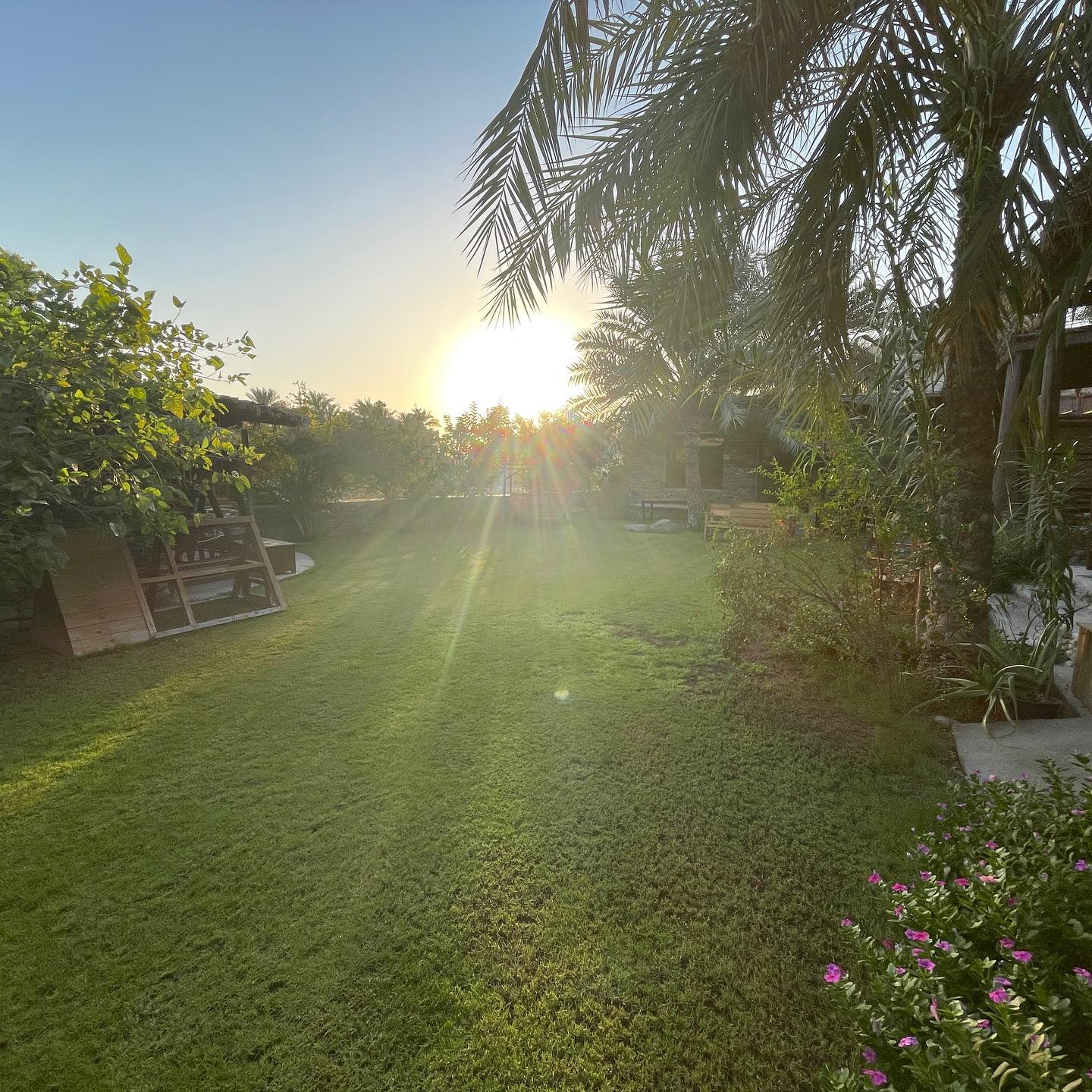 LODGE-FUJ-579 - Image 5