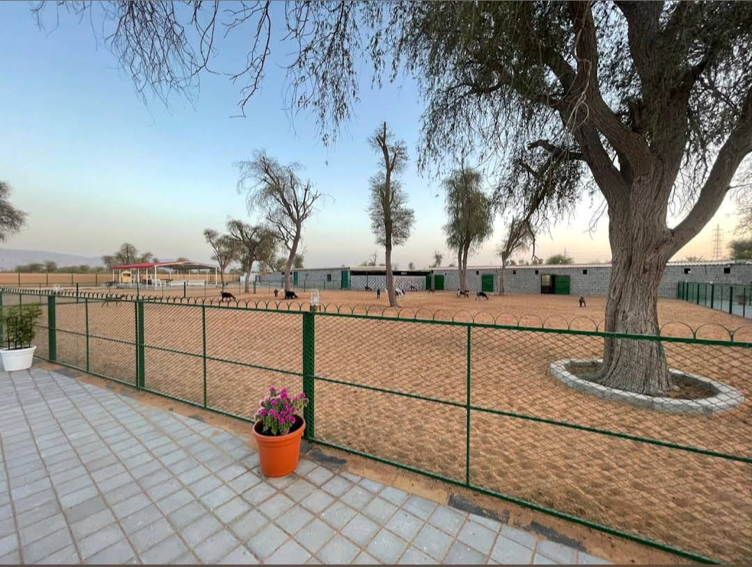 LODGE-RAK-851 - Image 7